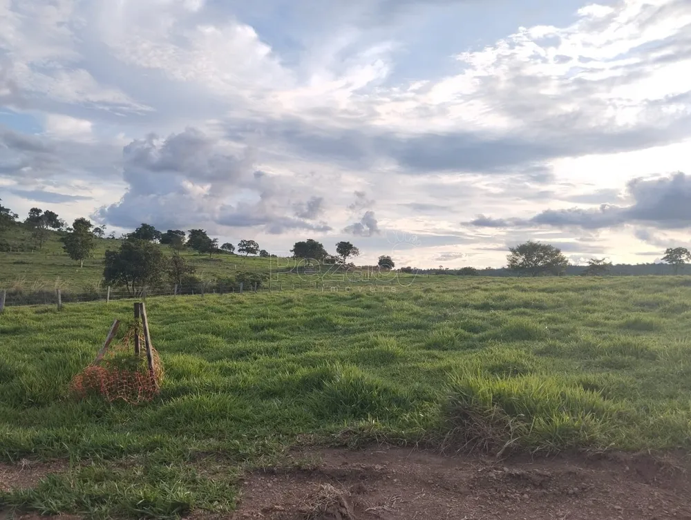 Fazenda, 4 quartos - Foto 13