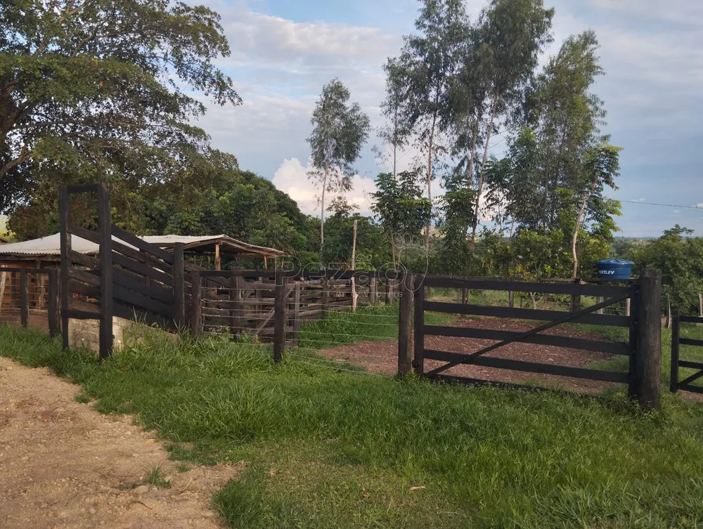 Fazenda, 4 quartos - Foto 20