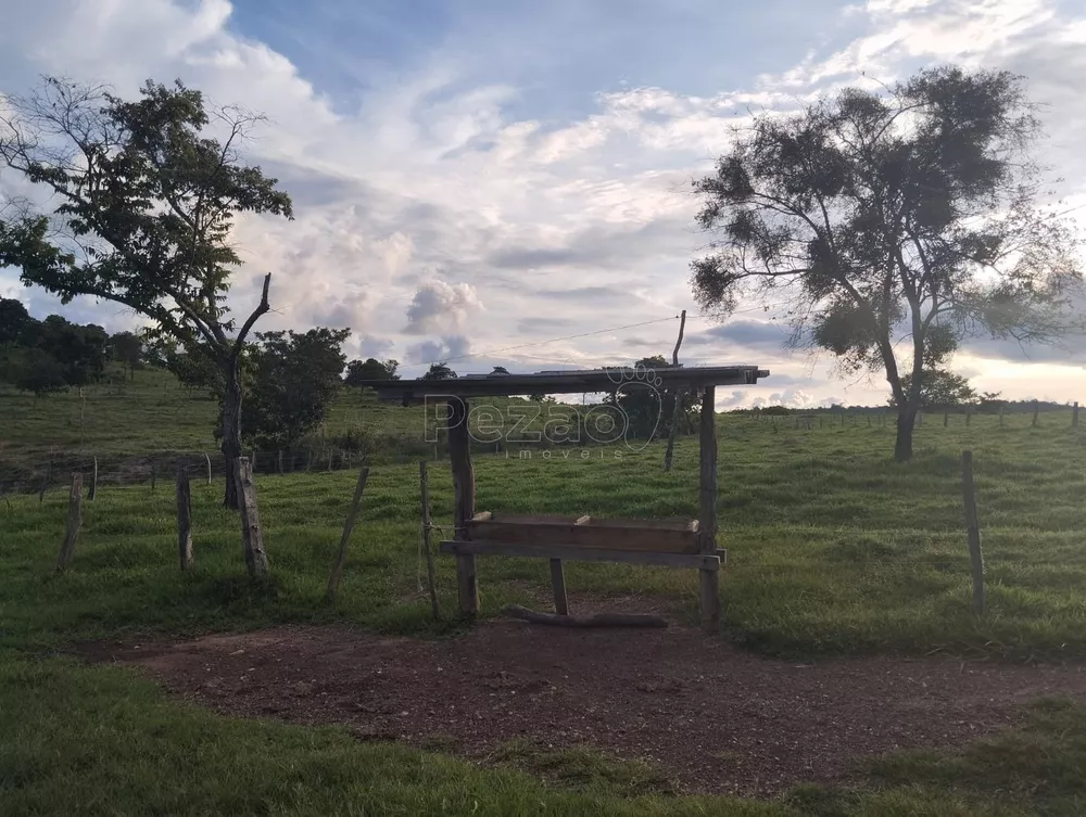 Fazenda, 4 quartos - Foto 3