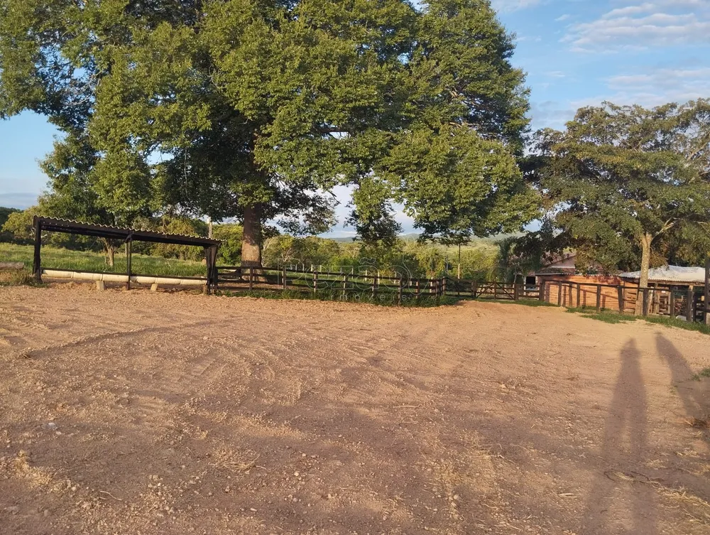 Fazenda, 4 quartos - Foto 22