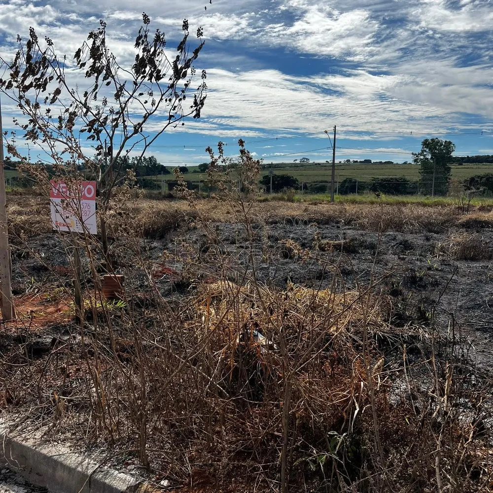 Terreno, 250 m² - Foto 3