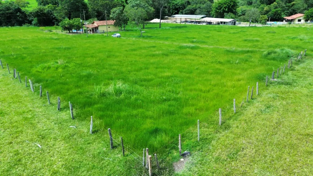Sítio, 5 hectares - Foto 14
