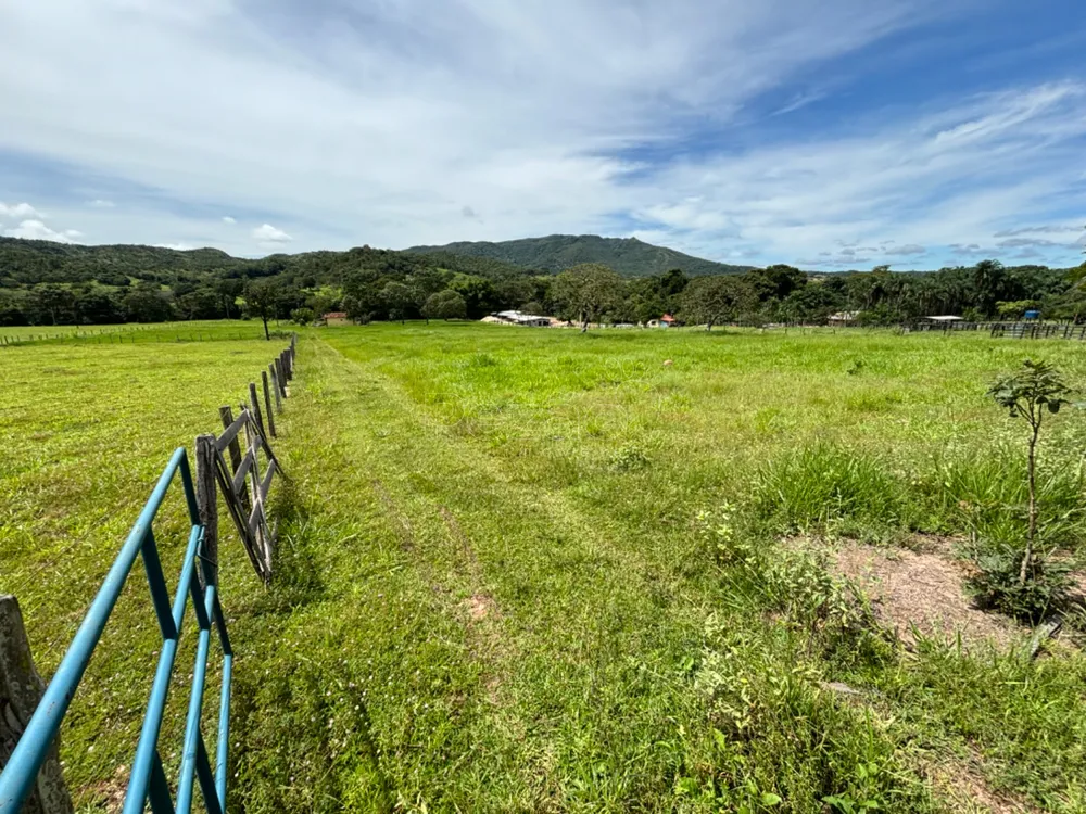 Sítio, 5 hectares - Foto 1