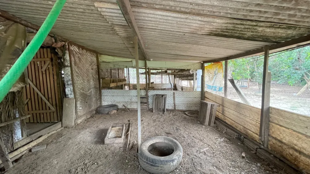 Sítio, 5800 m² - Foto 10