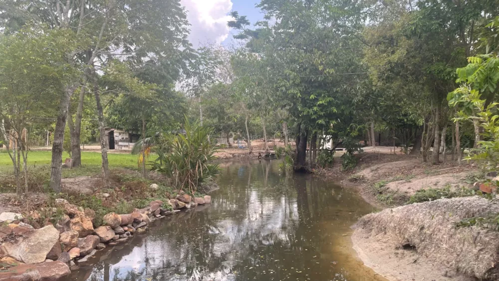 Sítio, 5800 m² - Foto 4