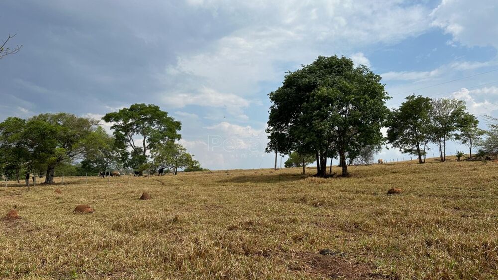 Fazenda-Sítio-Chácara - Foto 4