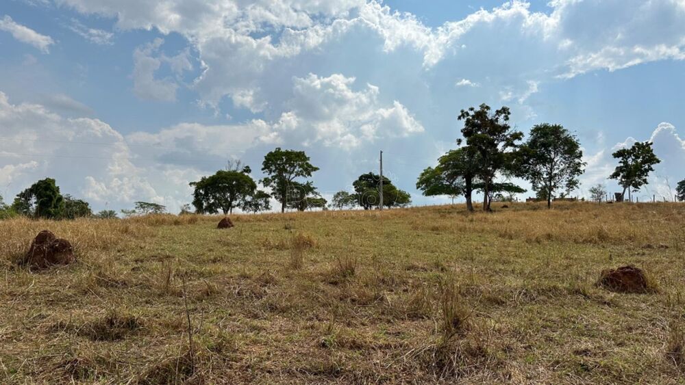 Fazenda-Sítio-Chácara - Foto 2
