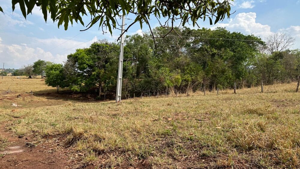 Fazenda-Sítio-Chácara - Foto 3