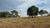 Fazenda - Foto 4