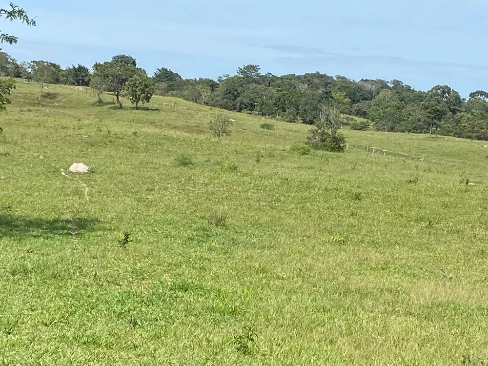 Fazenda - Foto 4
