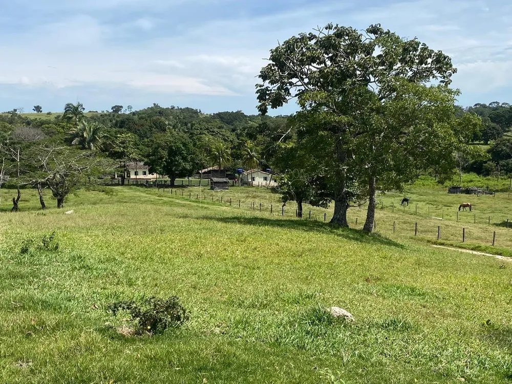 Fazenda - Foto 6