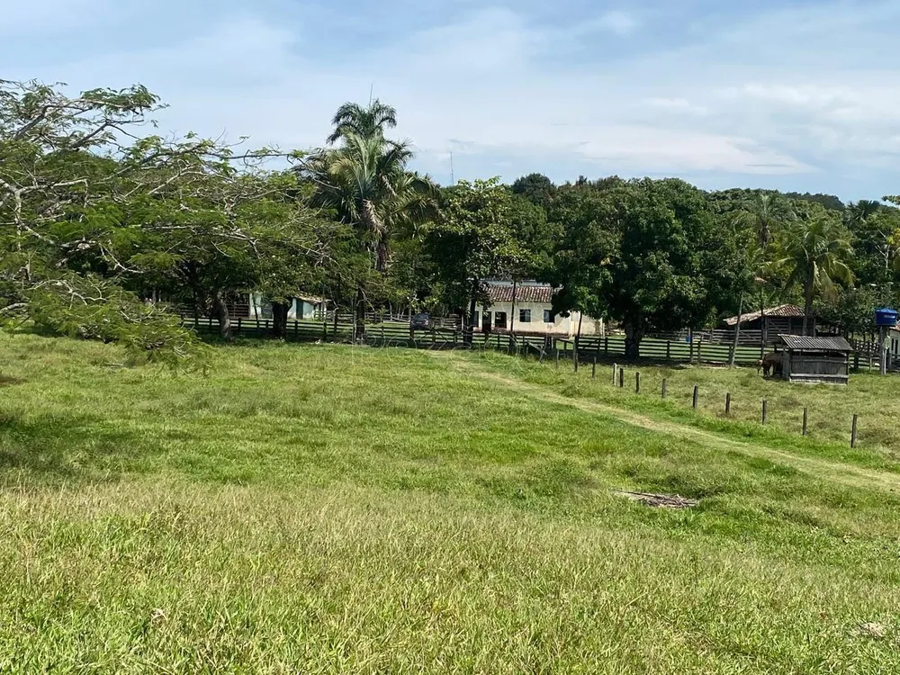 Fazenda - Foto 16