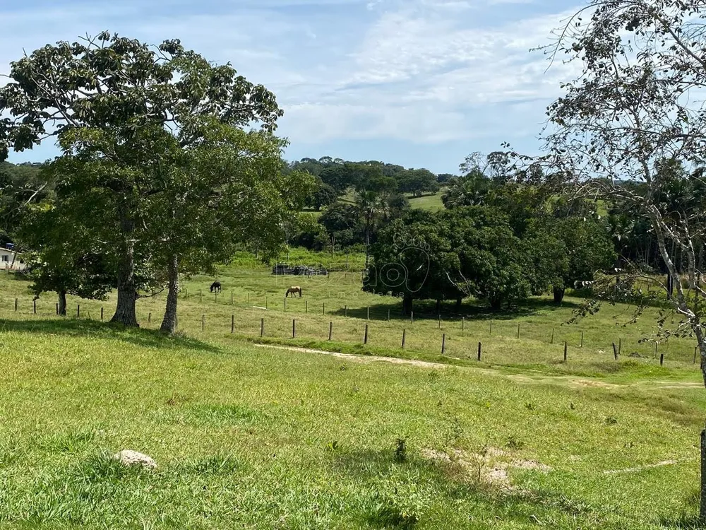 Fazenda - Foto 5