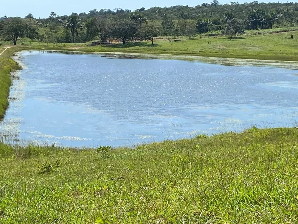 Fazenda - Foto 15