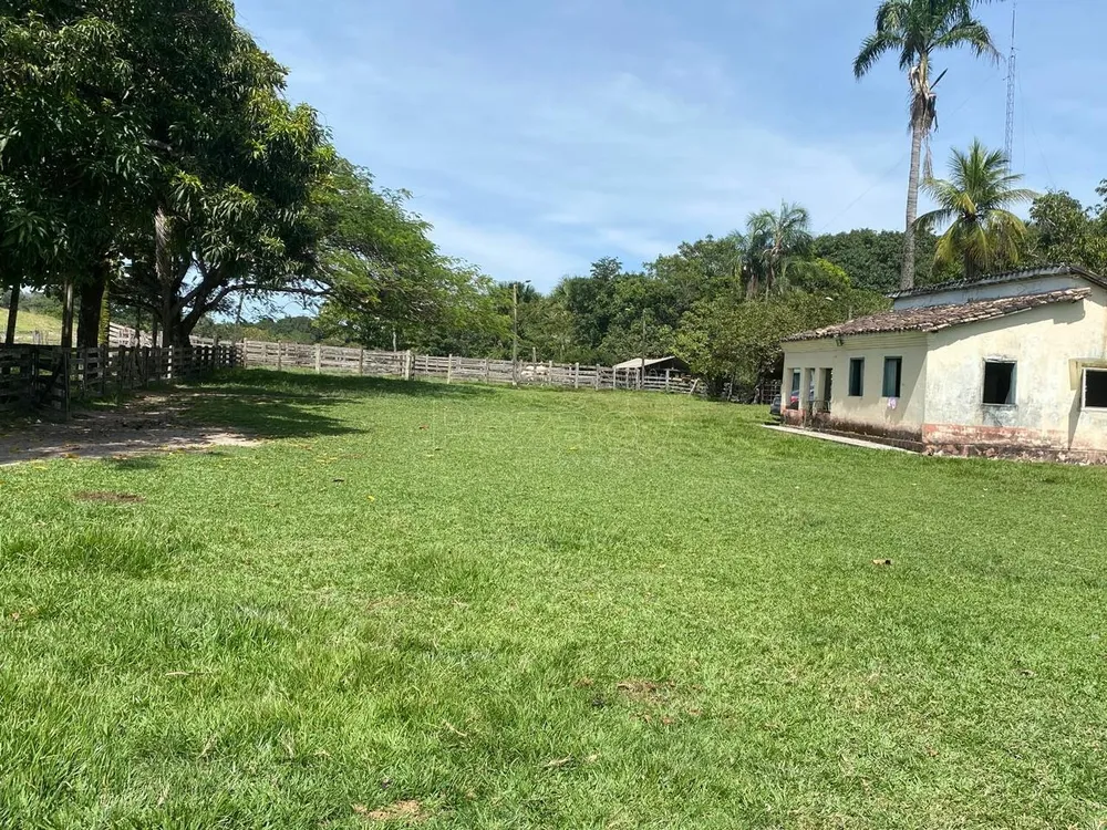 Fazenda - Foto 1