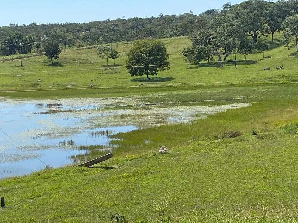 Fazenda - Foto 8