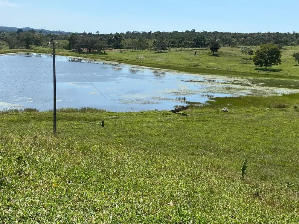 Fazenda - Foto 4