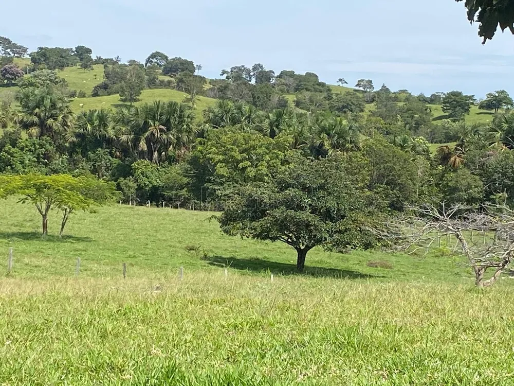 Fazenda - Foto 12