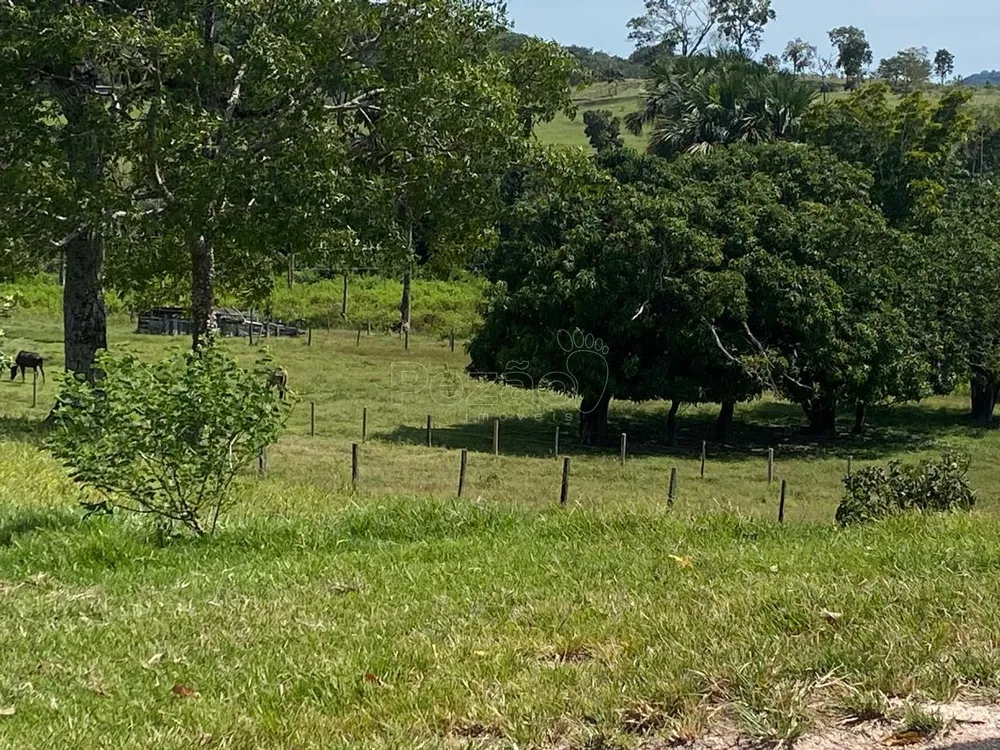 Fazenda - Foto 9