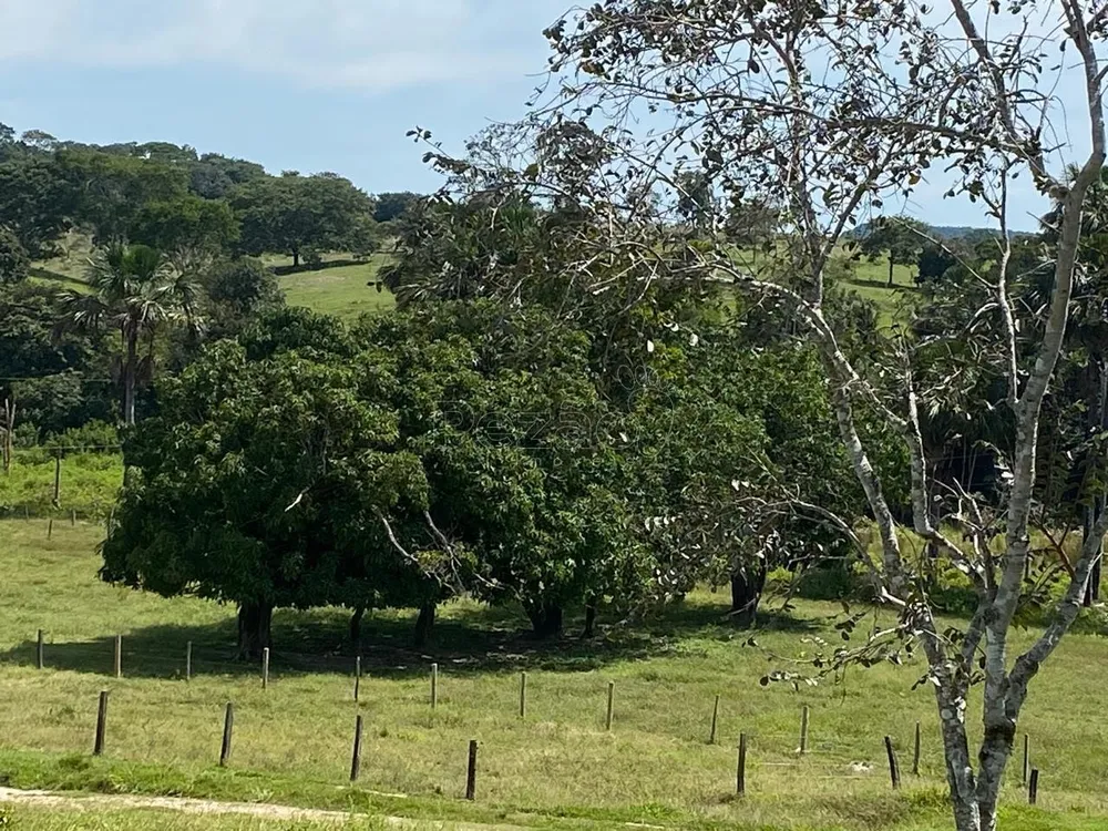Fazenda - Foto 7