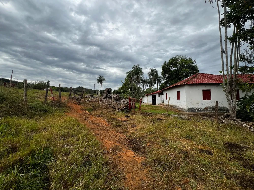 Sítio - Foto 5