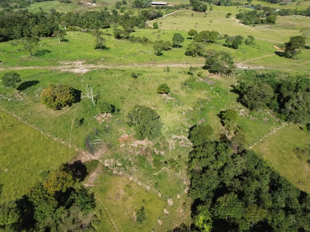 Sítio, 9 hectares - Foto 4