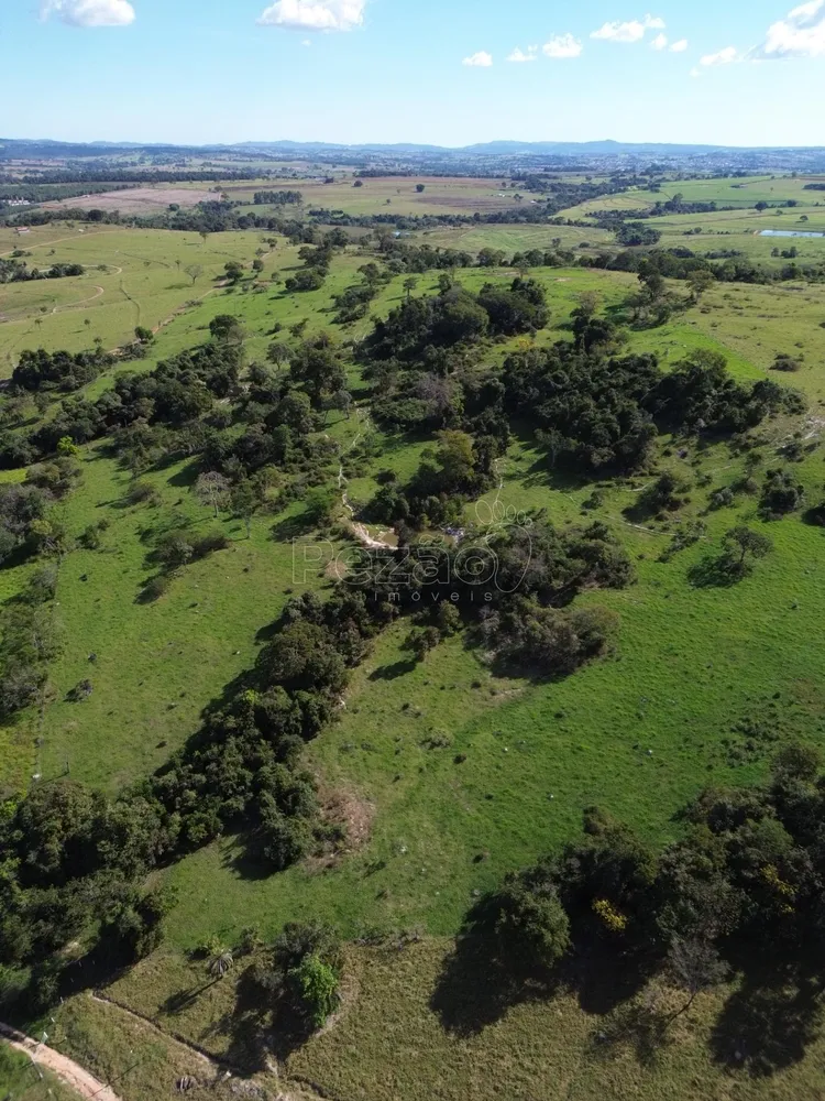 Sítio, 9 hectares - Foto 4