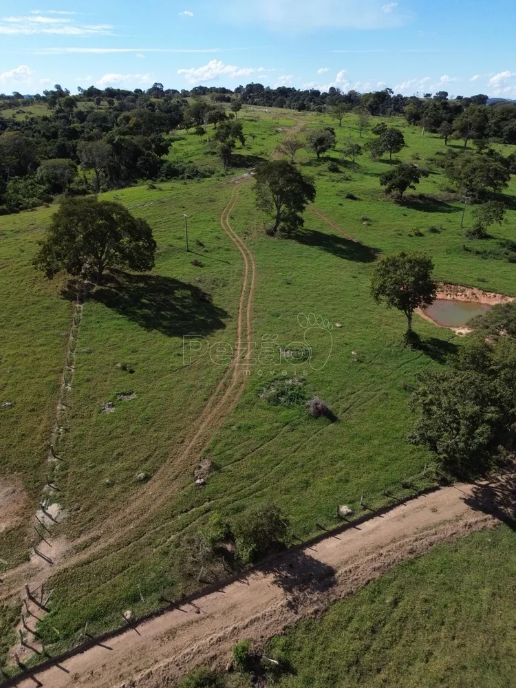 Sítio, 9 hectares - Foto 1