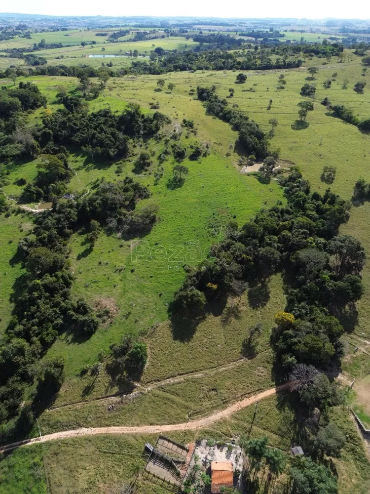 Sítio, 9 hectares - Foto 1