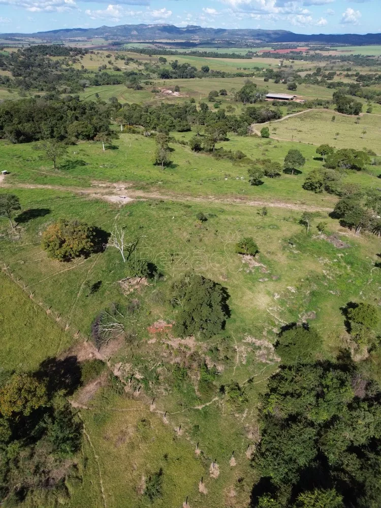 Sítio, 9 hectares - Foto 3