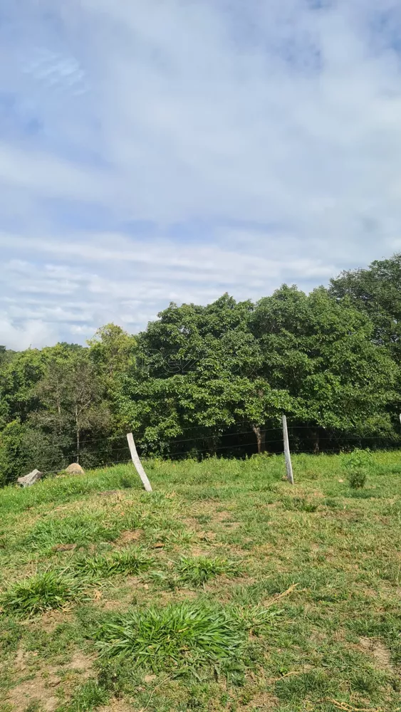 Fazenda, 4 quartos - Foto 1