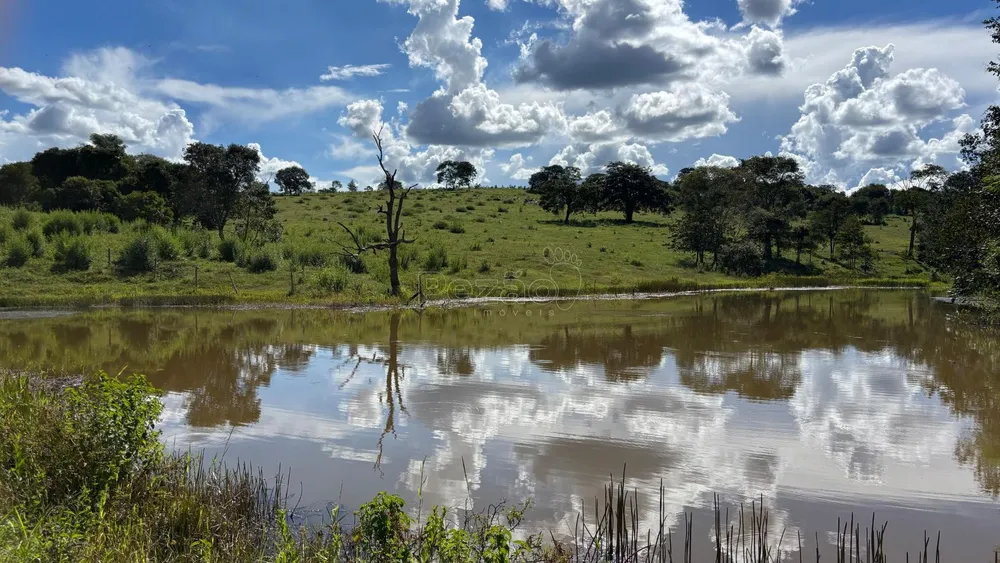 Fazenda - Foto 1