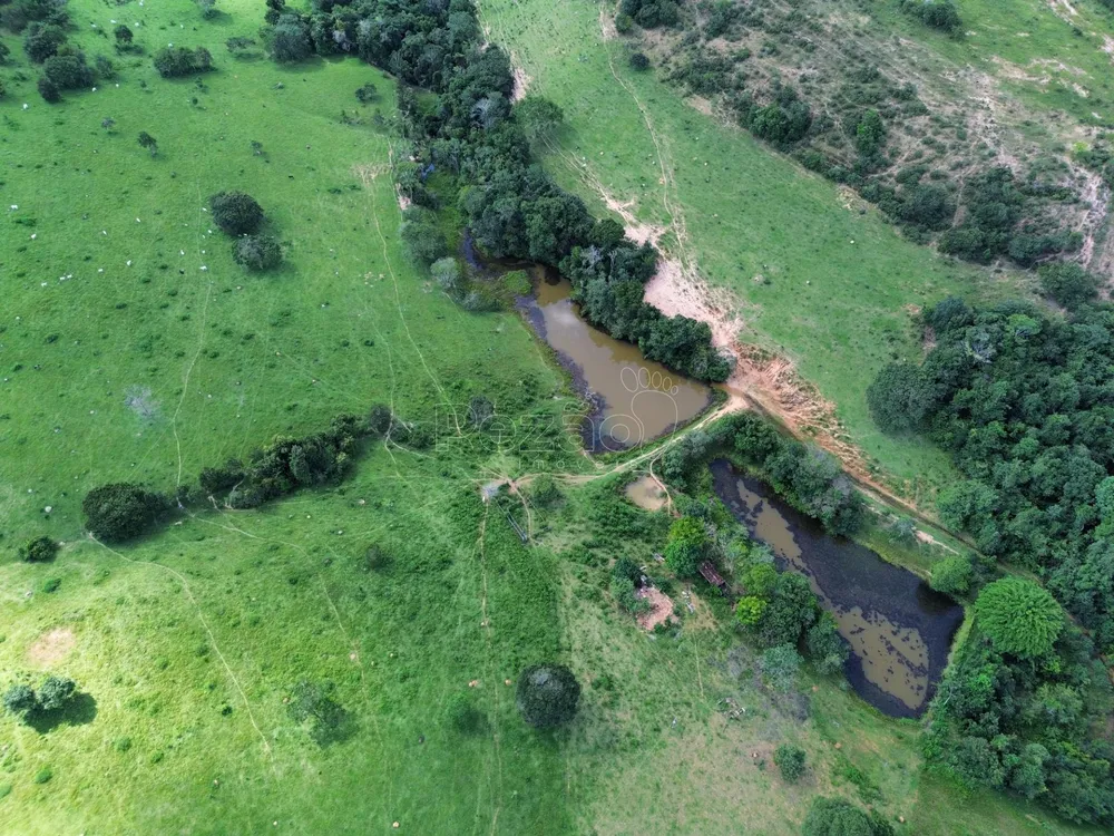 Fazenda - Foto 5