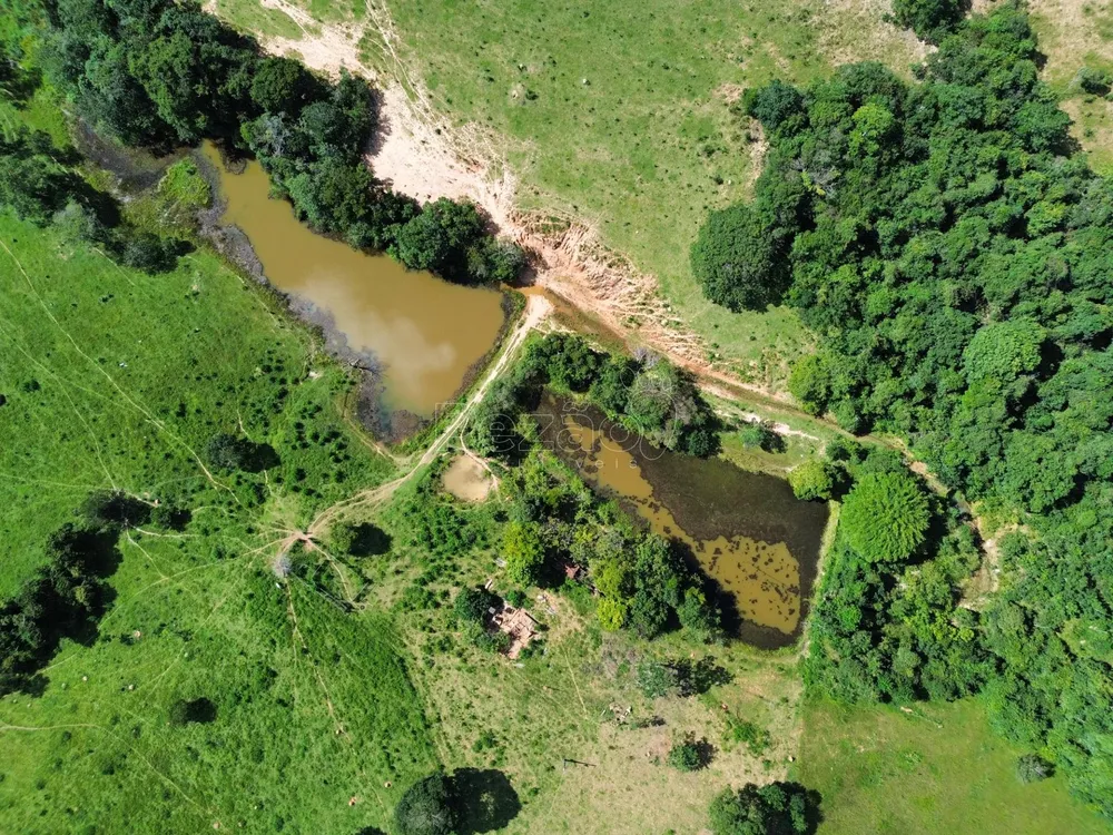 Fazenda - Foto 2
