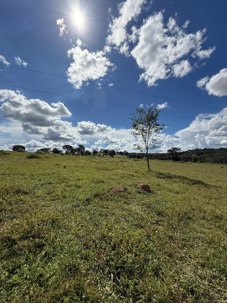 Fazenda - Foto 9