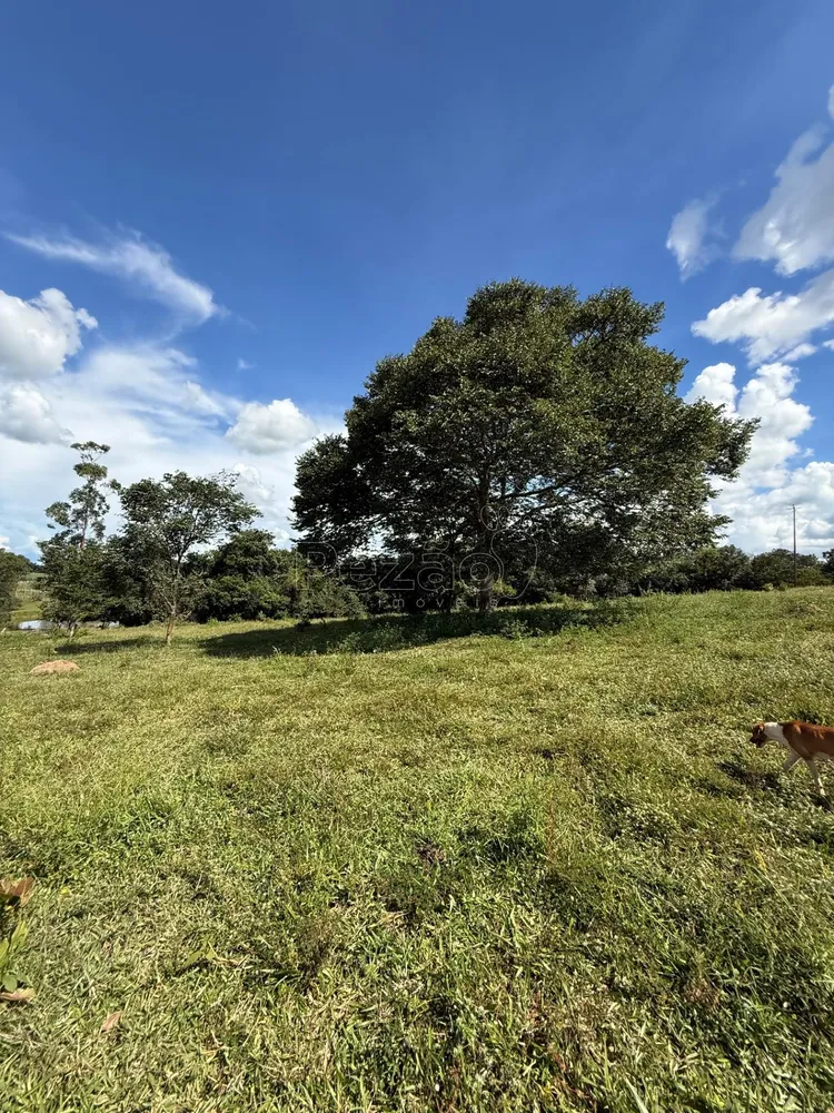 Fazenda - Foto 8