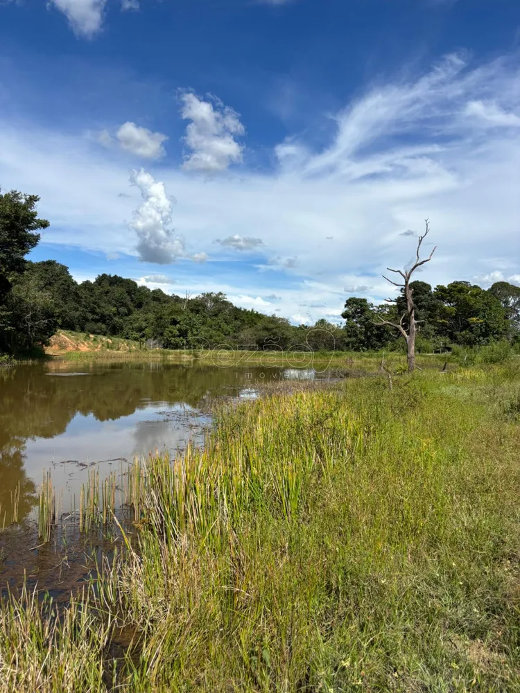 Fazenda - Foto 4