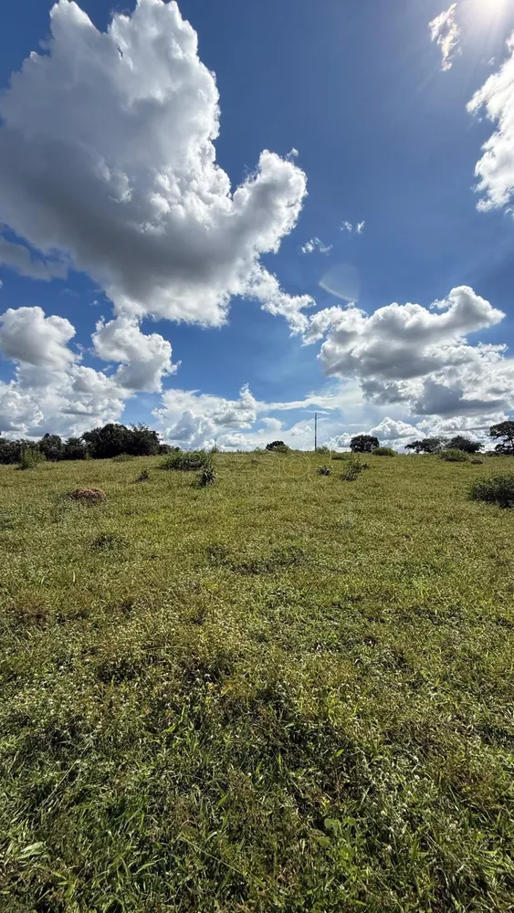 Fazenda - Foto 6