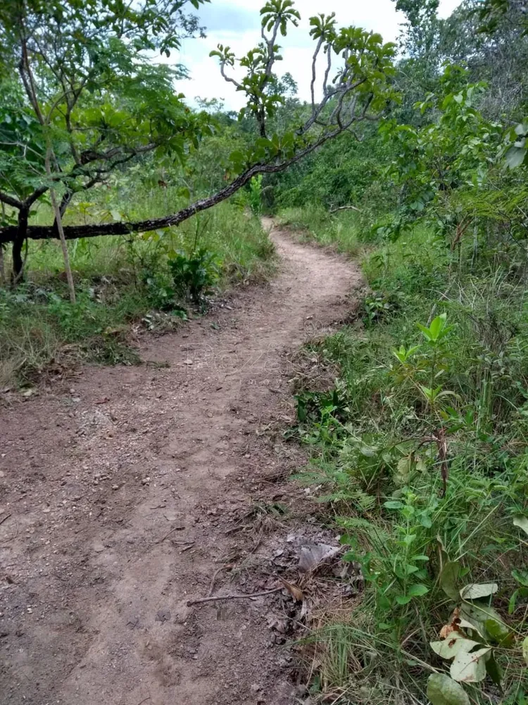 Chácara, 3 quartos - Foto 3