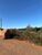 Terreno, 282 m² - Foto 2