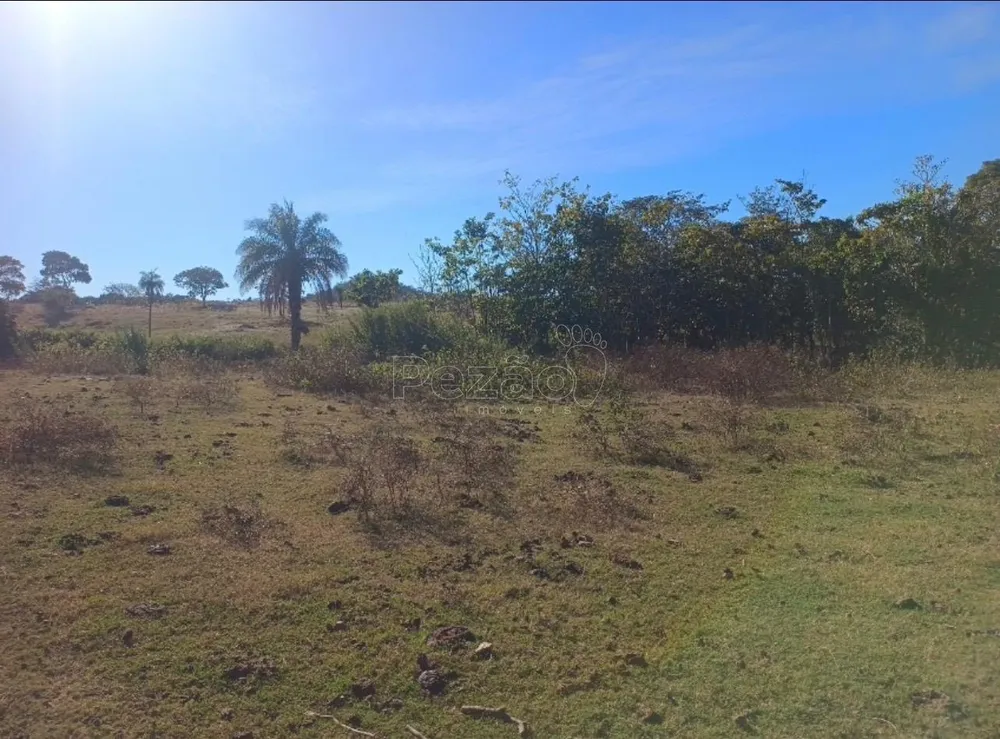 Fazenda - Foto 6