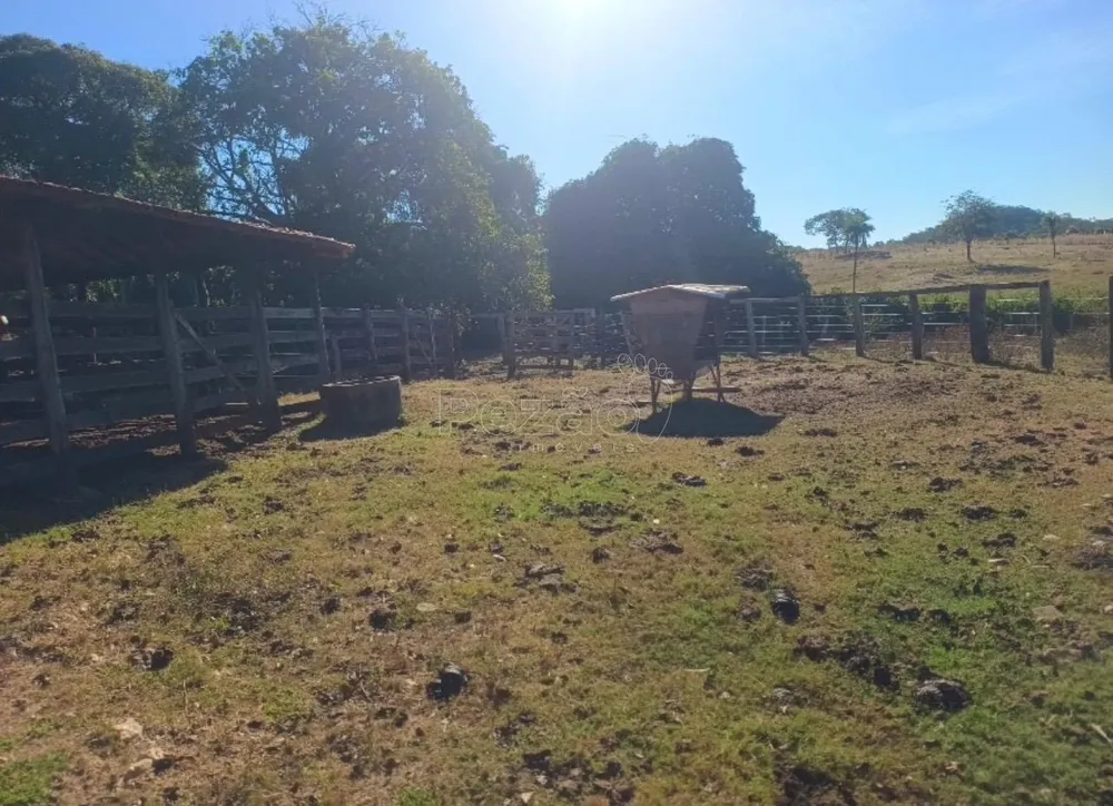 Fazenda - Foto 7