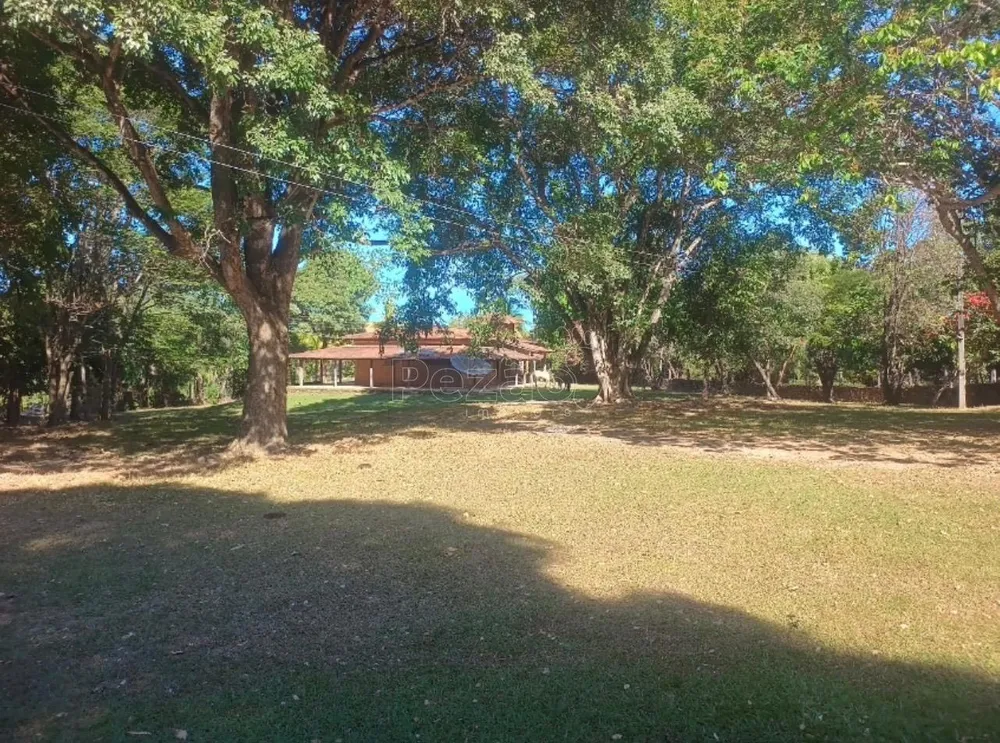 Fazenda - Foto 4
