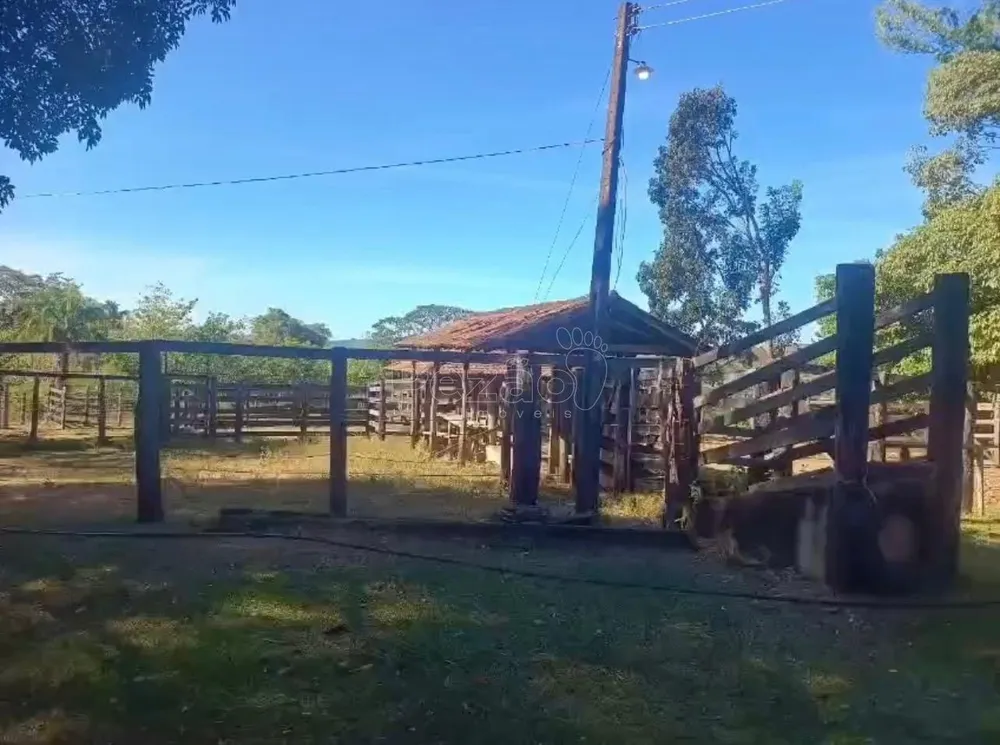 Fazenda - Foto 2