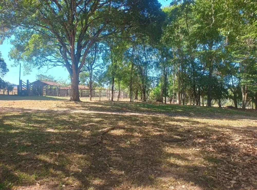 Fazenda - Foto 8
