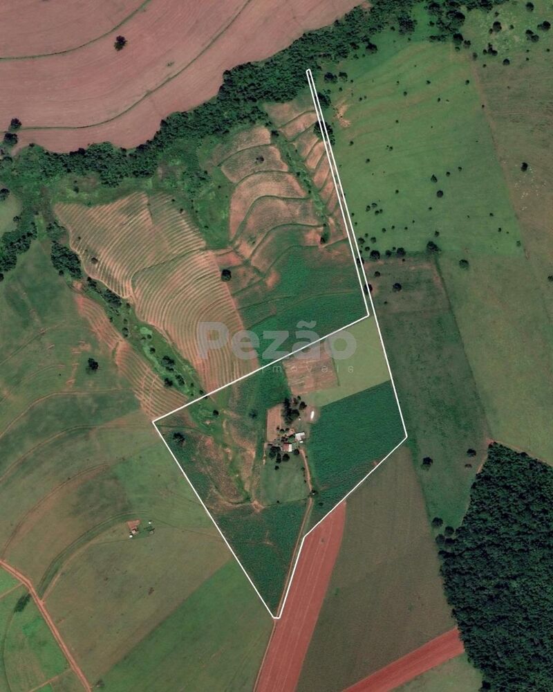 Chácara à venda, 150040m² - Foto 4