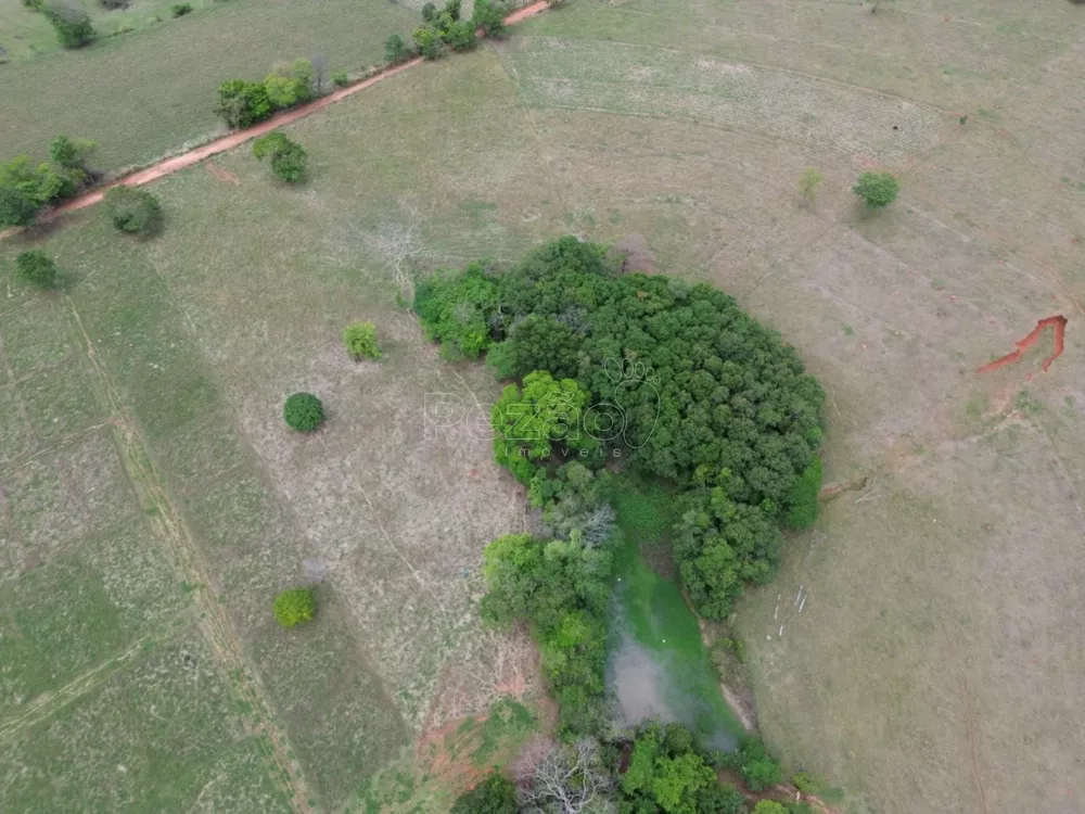 Fazenda à venda - Foto 2