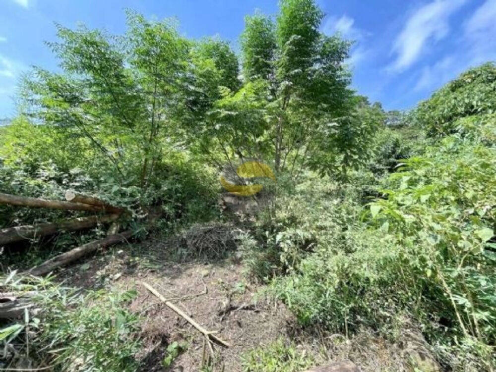 Terreno, 907 m² - Foto 7