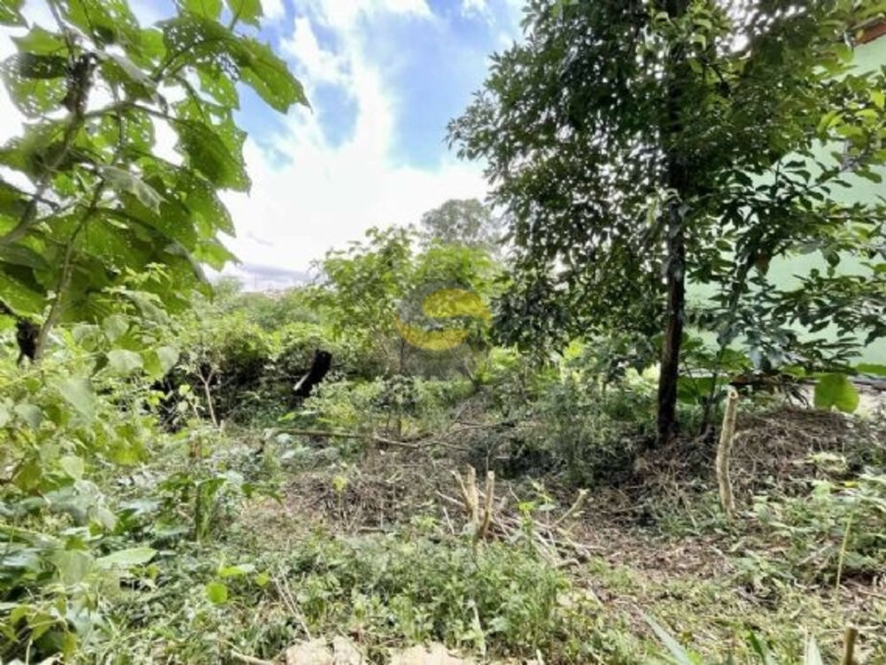 Terreno, 907 m² - Foto 6