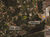 Terreno, 860 m² - Foto 4